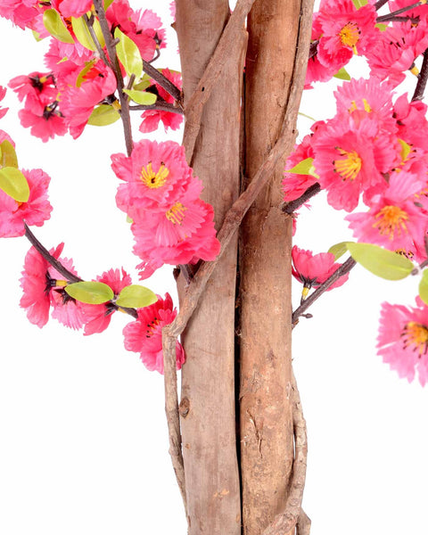 5 Feet Dark Pink Blossom Trees