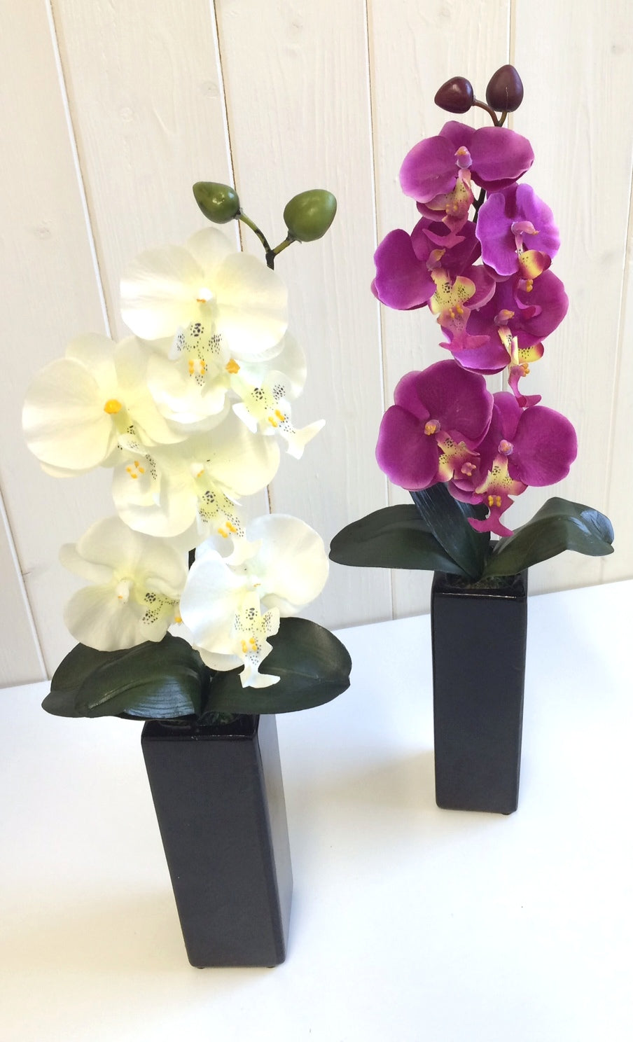 Orchid with tall black vase
