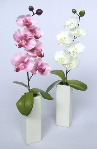Orchid with tall cream vase